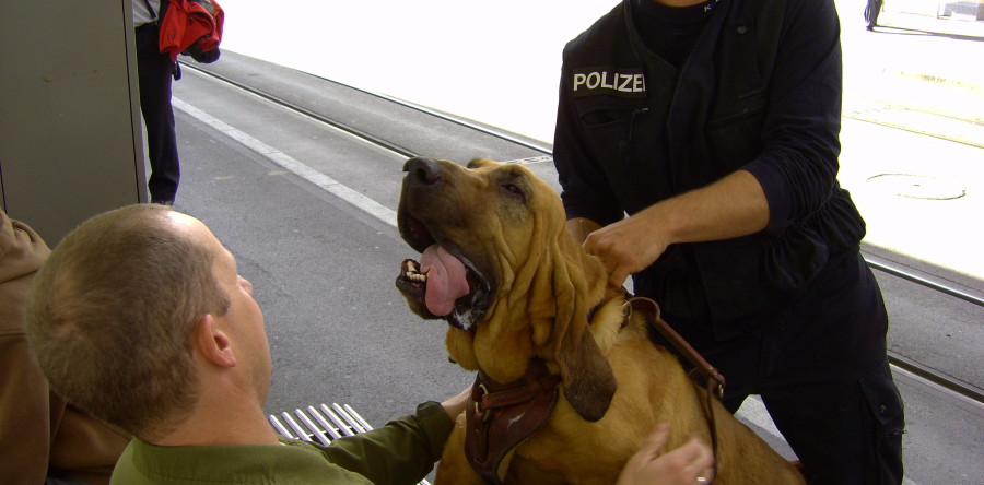 Wöchentliches Mantrailing / Termine